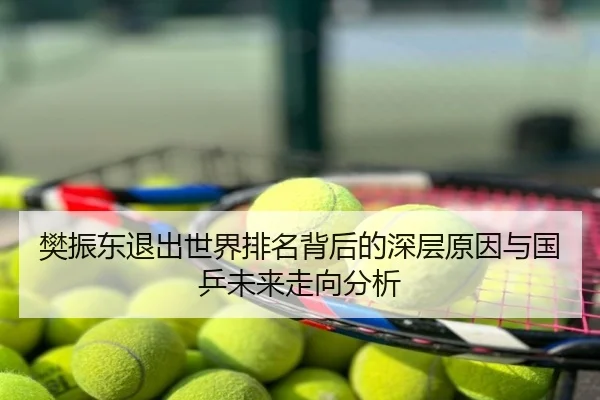 樊振东退出世界排名背后的深层原因与国乒未来走向分析